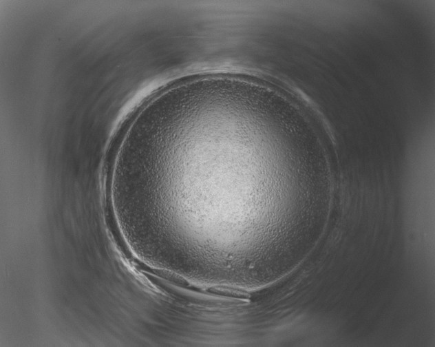 X0000085291416200703161438