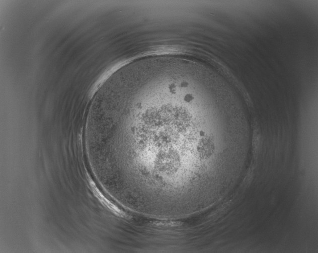 X0000085291417200703161438