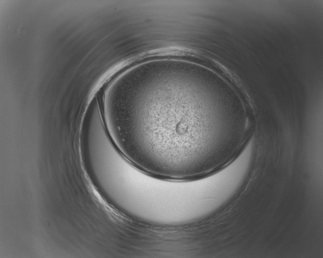 X0000085291418200703161438