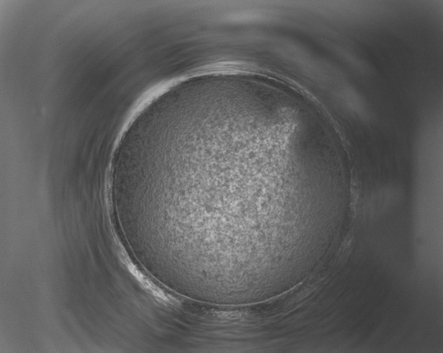 X0000085291421200703161438