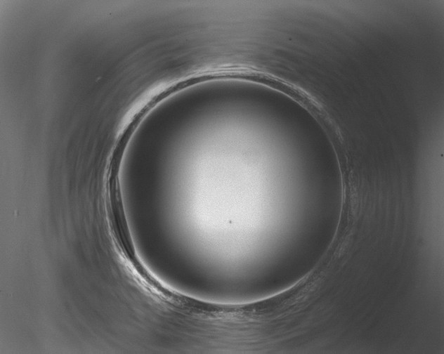 X0000085291422200703161438