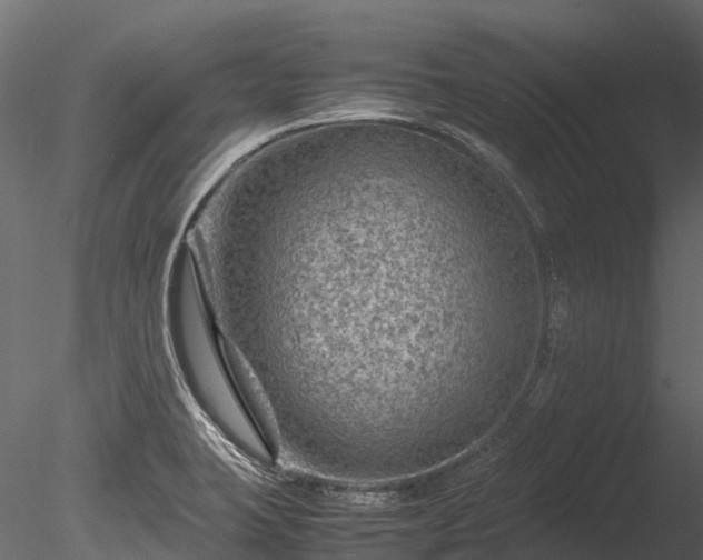 X0000085291423200703161438