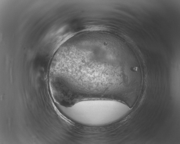 X0000085291425200703161438