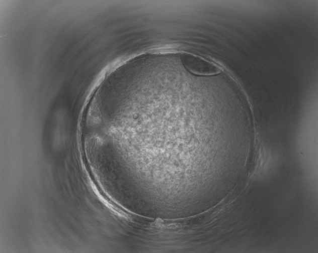 X0000085291429200703161438