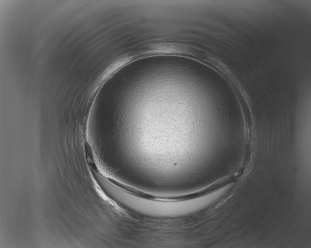 X0000085291433200703161438