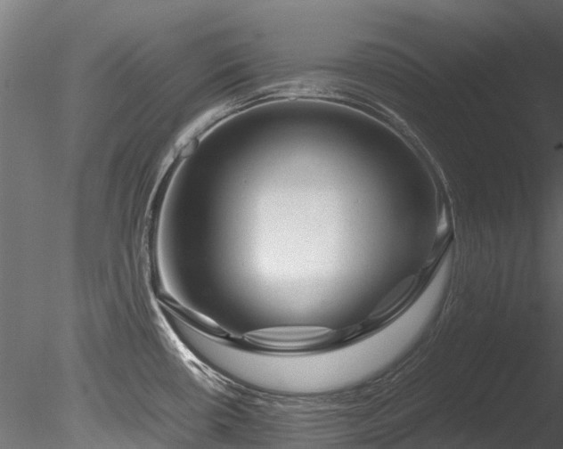 X0000085291434200703161438