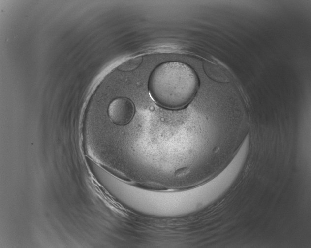 X0000085291435200703161438