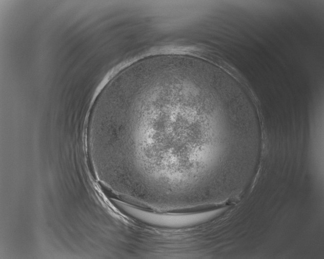 X0000085291436200703161438