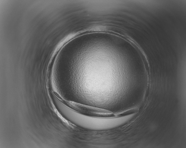 X0000085291437200703161438