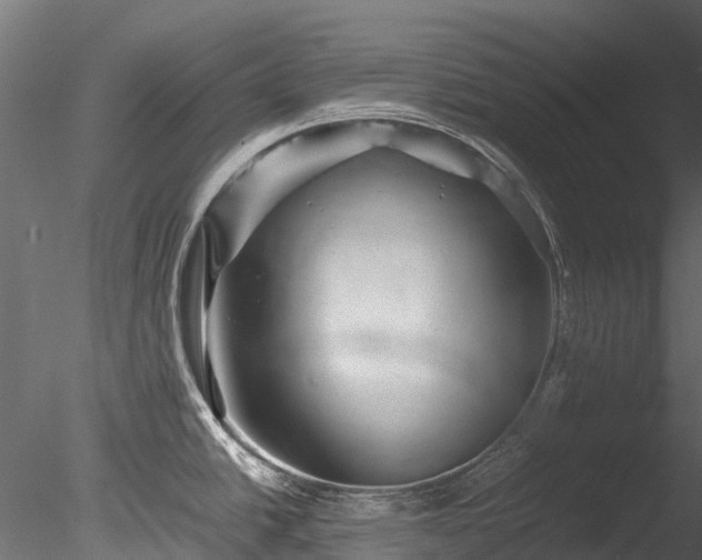 X0000085291438200703161438