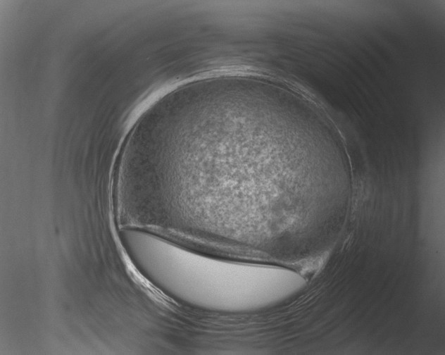 X0000085291439200703161438