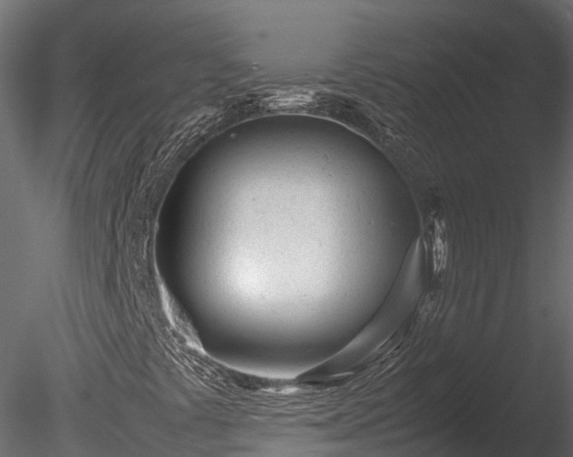 X0000085291441200703161437