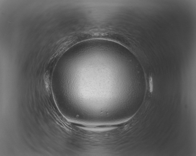 X0000085291444200703161437