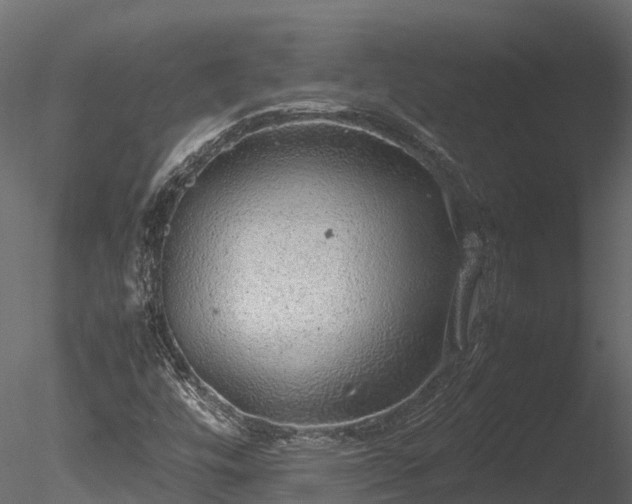 X0000085291448200703161437