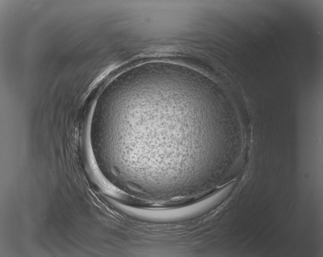 X0000085291449200703161437