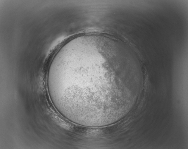 X0000085291454200703161437