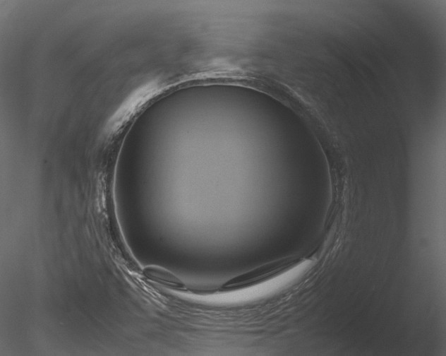 X0000085291455200703161437