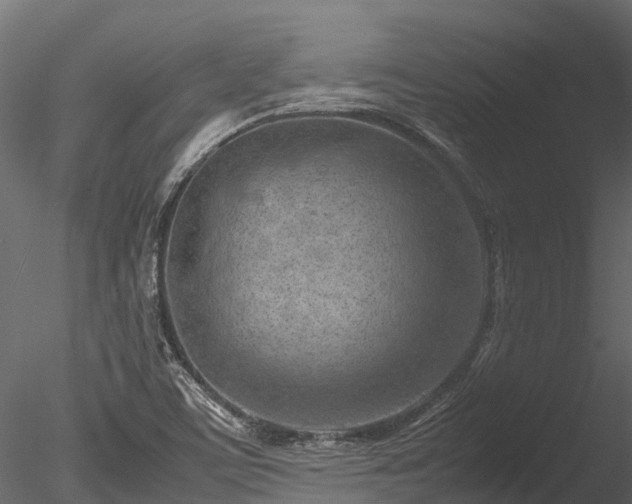 X0000085291459200703161437