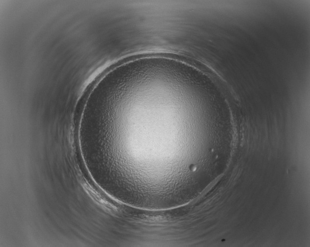 X0000085291460200703161437