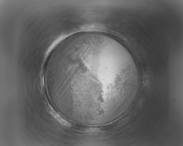 X0000085291462200703161437