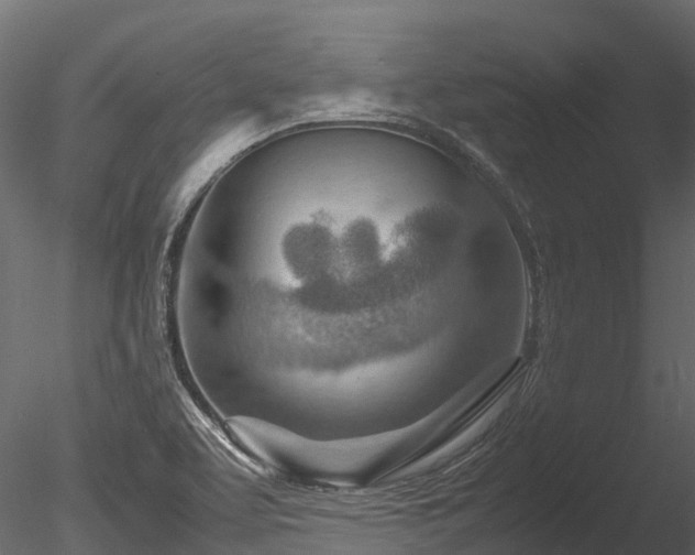 X0000085291463200703161437