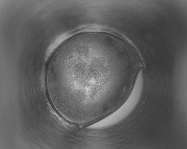 X0000085291464200703161437