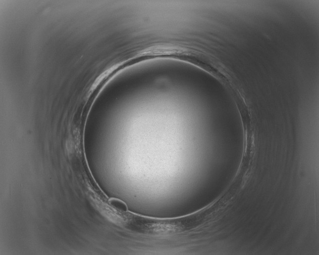 X0000085291465200703161437