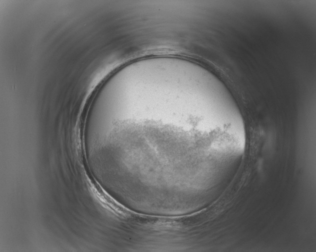 X0000085291466200703161437