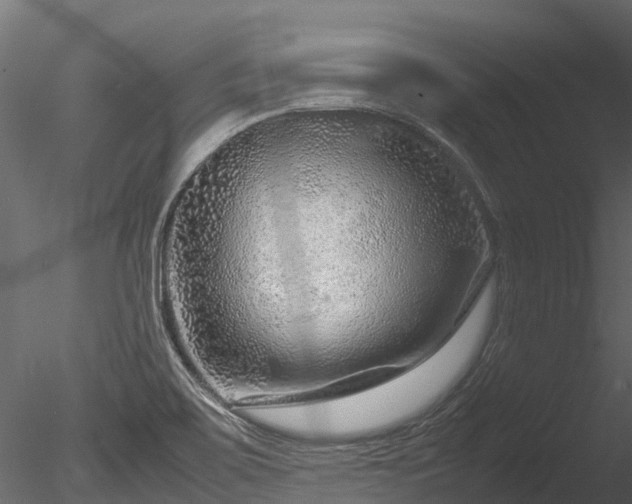 X0000085291467200703161437