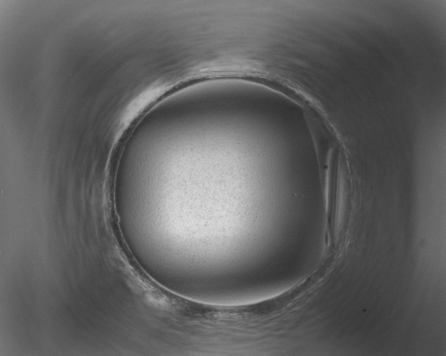 X0000085291469200703161437