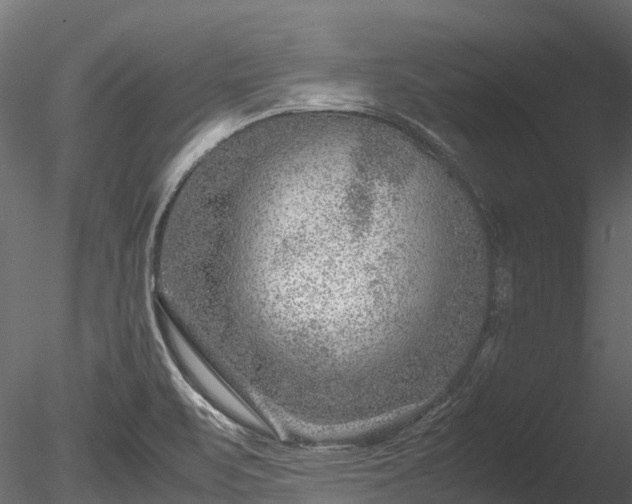 X0000085291471200703161437