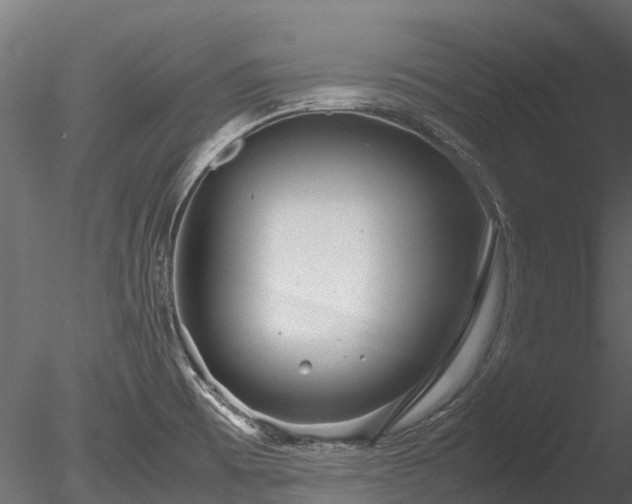 X0000085291473200703161437