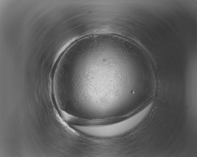 X0000085291476200703161437