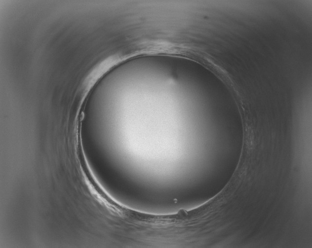 X0000085291479200703161437