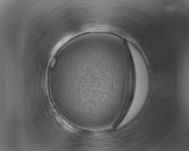 X0000085291480200703161437