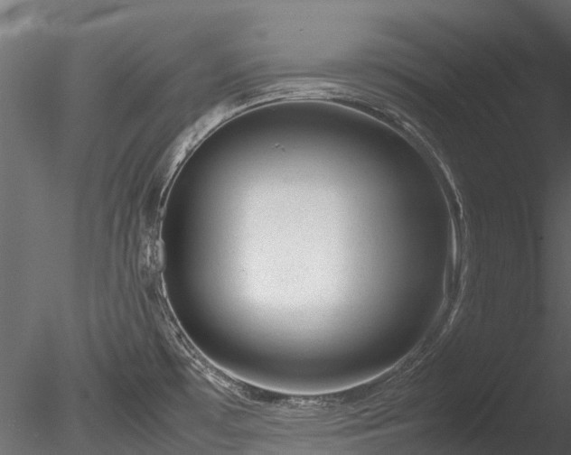 X0000085291481200703161437