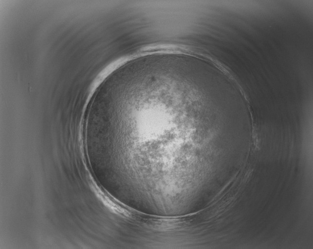 X0000085291482200703161437