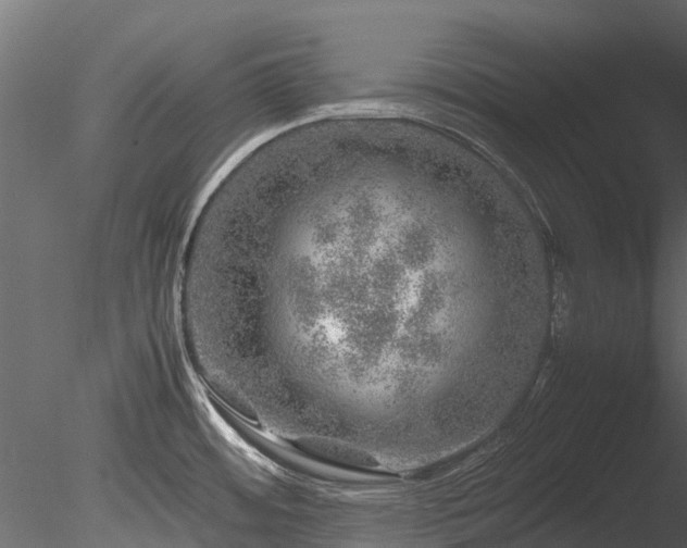 X0000085291484200703161437