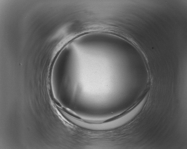 X0000085291485200703161437