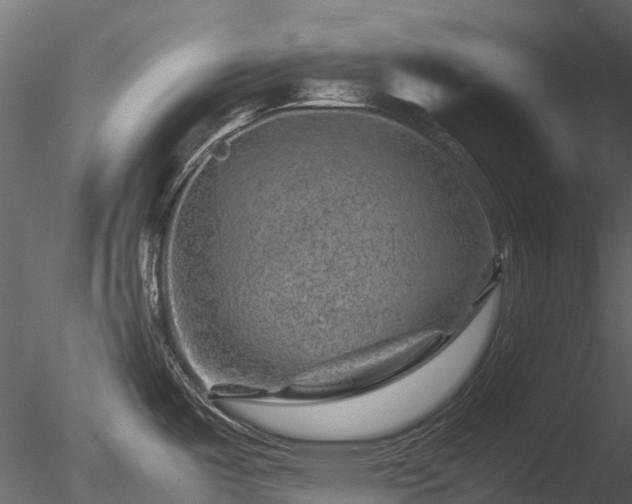 X0000085291487200703161437