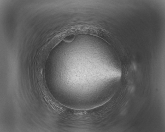 X0000085291489200703161436