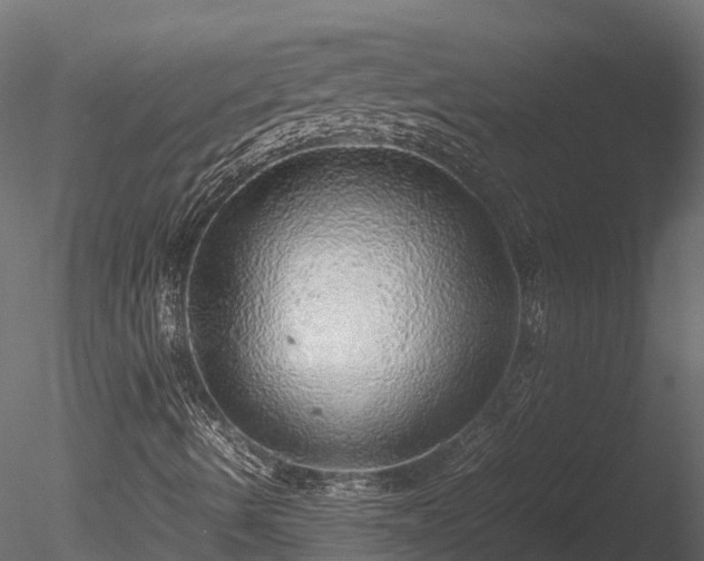 X0000085291490200703161436