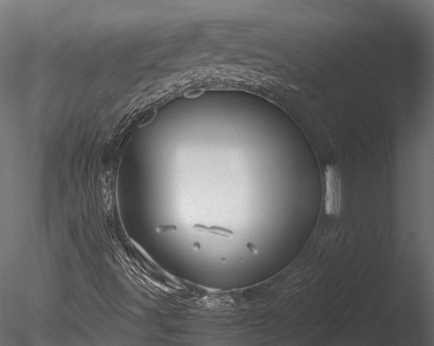 X0000085291491200703161436