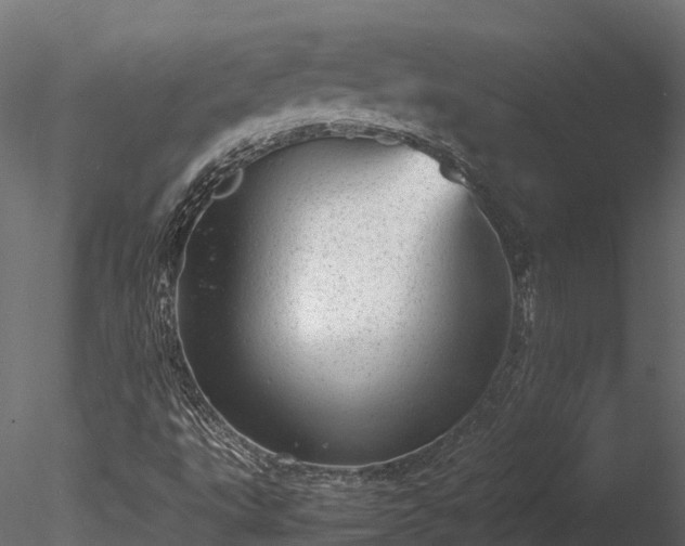 X0000085291495200703161436