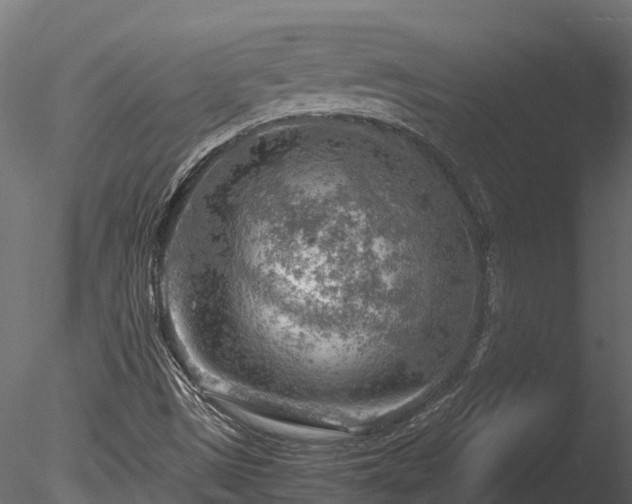 X0000085291497200703161436