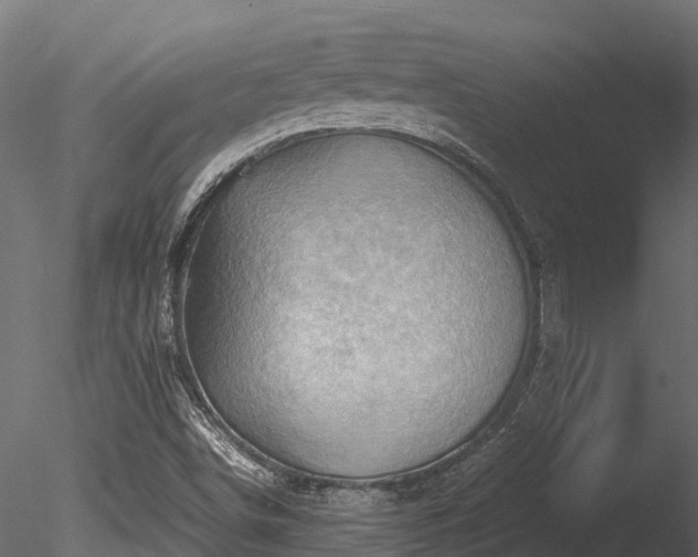 X0000085291498200703161436