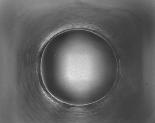 X0000085291500200703161436