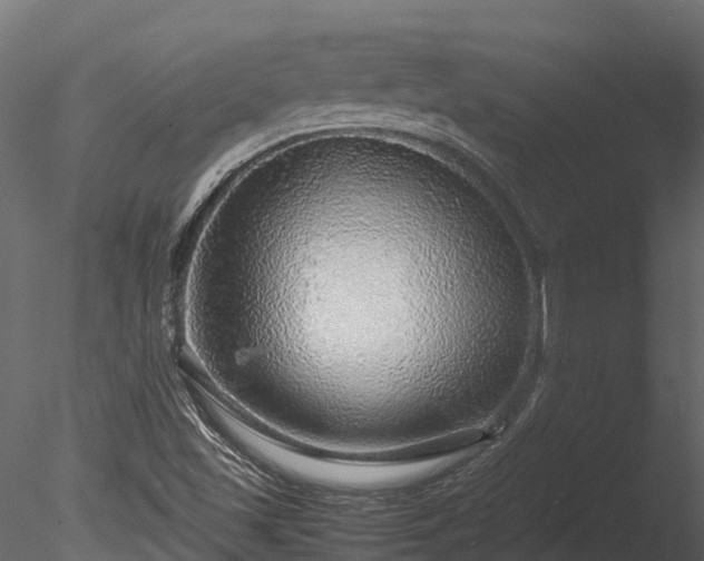 X0000085291501200703161436