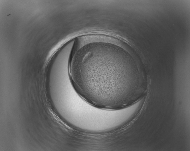 X0000085291502200703161436