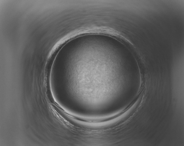 X0000085291506200703161436